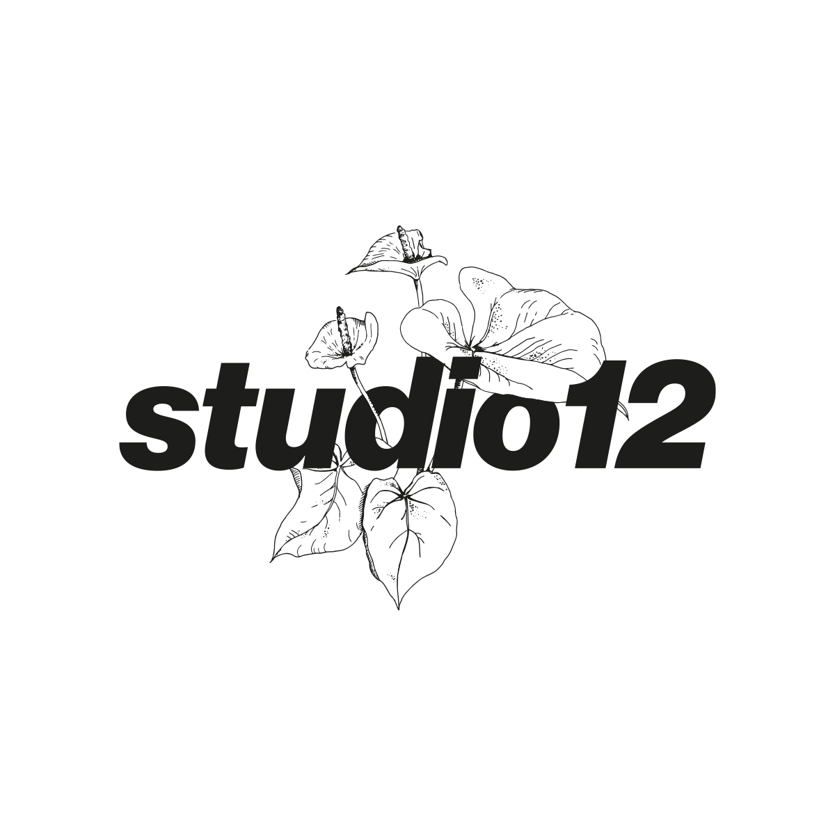 studio12